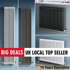 Traditional Cast Iron Radiator 2 3 Column White Anthracite Vintege Victorian Rad