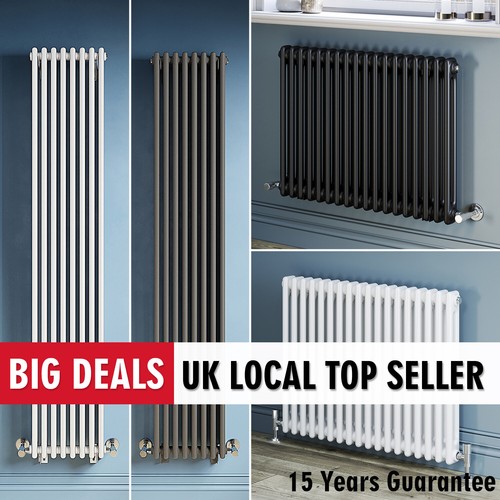Traditional cast iron radiator - traditional,