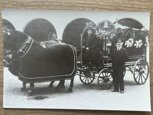 Vintage rppc horse - rppc, drawn