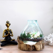 30cm Large Fish Tank Bowl