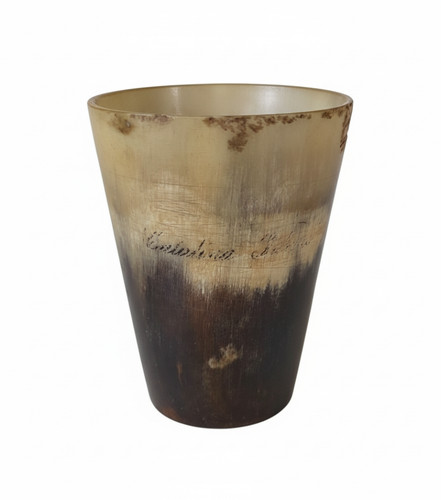 Vintage natural antique horn - natural,