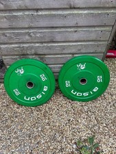 Bison Bumper  Plates 2 X 10kg