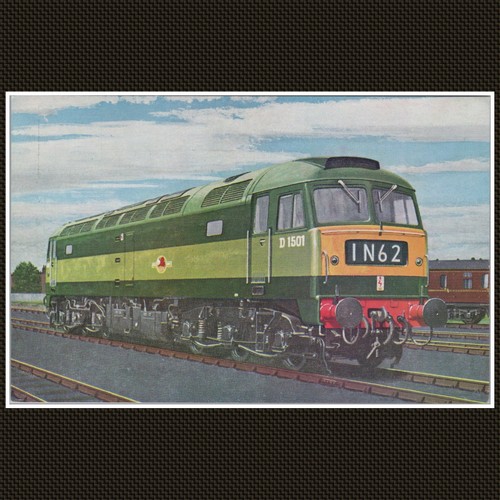 Brush type d1501 locomotive - d1501,