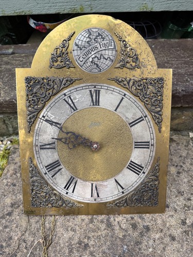 Tempus fugit schatz wall clock - wall,