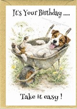 Jack russell terrier dog - jack,