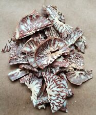 500g Mawa Cut Betel Nut (Sopari)