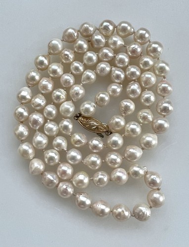 Antique saltwater very large - saltwater,