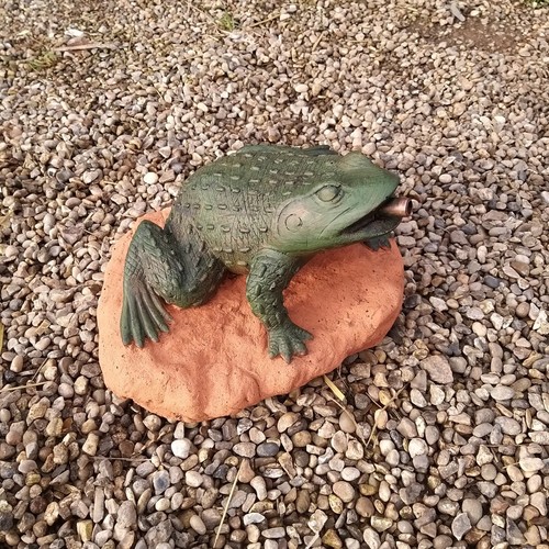 Green two tone - tone, pond