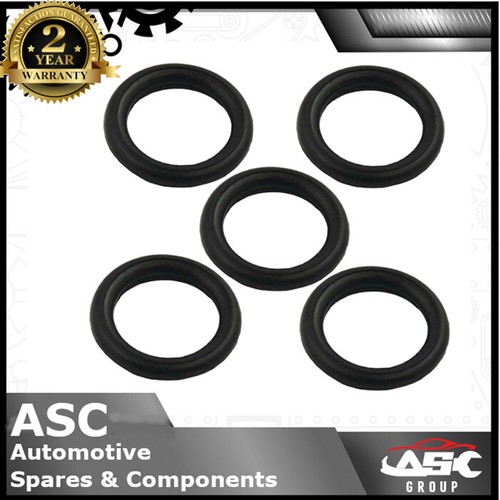 Universal exhaust ring - exhaust,