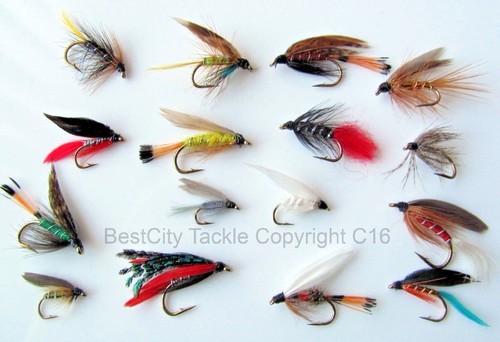 Fly fishing assorted wet - fly,