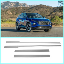 Chrome Side Door Streamer 4