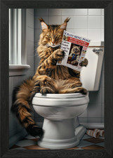 Maine Coon Cat on Toilet
