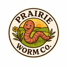 50 + Live Red Wiggler Worms |