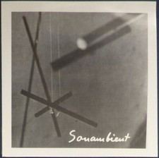 Harry Bertoia - Sonambient Swinging Bars / Vulcans Play on Black vinyl.