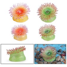 Lifelike Sea Anemone