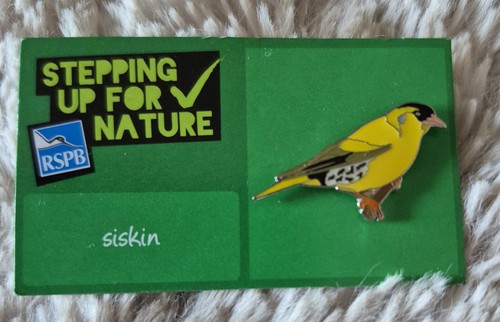 Rspb bird pin badge siskin - bird,