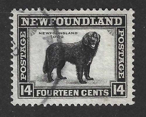 Newfoundland 1932 194 - newfoundland,