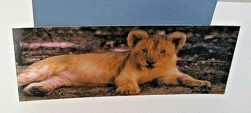 Bookmarker 3d lion cub - 3d,