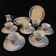 Vintage Winterling Marktleuthen Bavaria 17 Piece Tea Set