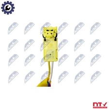 GAS SPRING BOOTCARGO AREA