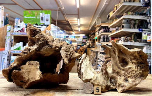 Nano derwen oak bogwood - nano,