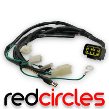 PIT BIKE ZONGSHEN 125 h/o DIGITAL WIRING LOOM HARNESS 125cc Z125 PITBIKE