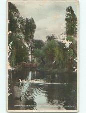 old rppc NICE VIEW Leicester