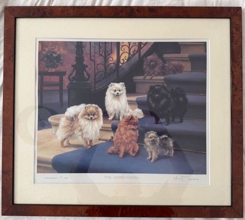 Limited edition framed - limited,