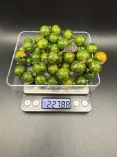 227g Vintage Bakelite Marbled