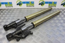 Triumph Street Triple 675 Fork