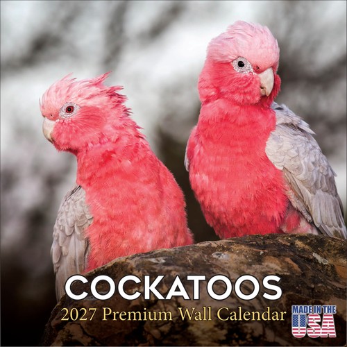 Cockatoos 2027 wall calendar - wall,