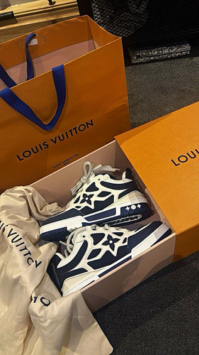 Louis vuitton skates - louis,