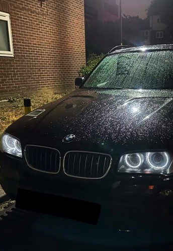 Bmw e83 2006 xenon - bmw,