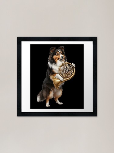 Shetland sheepdog playing - sheepdog,