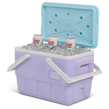 IGLOO COOL BOX RETRO 25 PICNIC