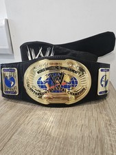 WWE 2010 Intercontinental Kids