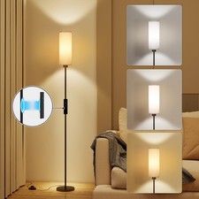 LED Floor Lamp with Remote