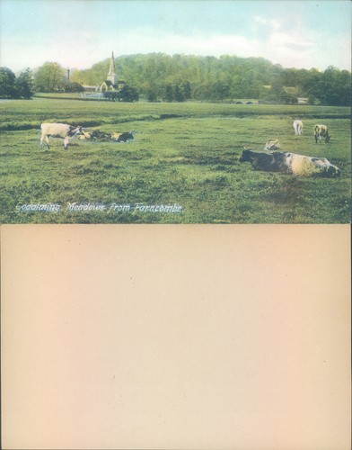 Godalming meadows from - godalming,