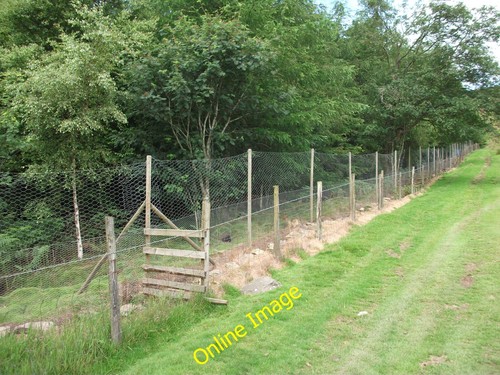 Photo 12x8 fencing for - photo, release