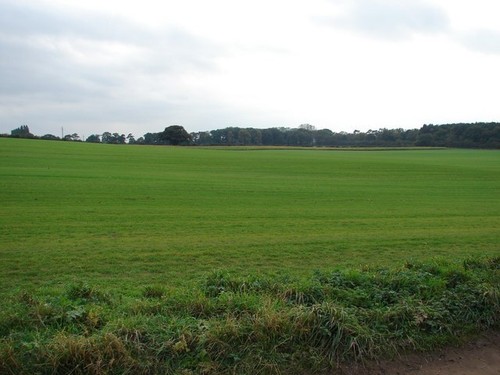 Photo 6x4 smooth field - photo,