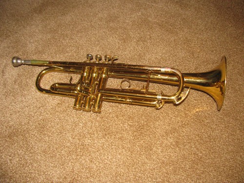 Trumpet case 2 mouth - trumpet,