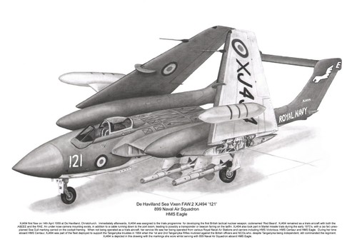 Havilland sea vixen artist - sea,