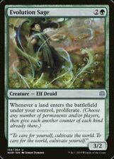 1x EVOLUTION SAGE - ELF DRUID - War of the Spark - MTG - Magic the Gathering