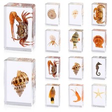 12 Pcs Ocean Animal Insect in