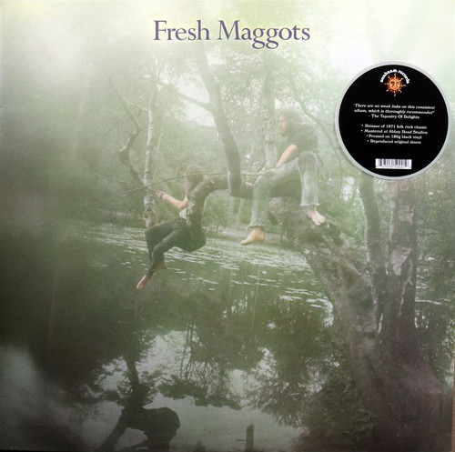 Fresh maggots same - maggots-same, folk