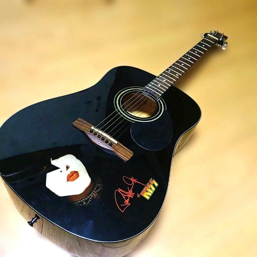 Silvertone paul stanley dark - stanley,