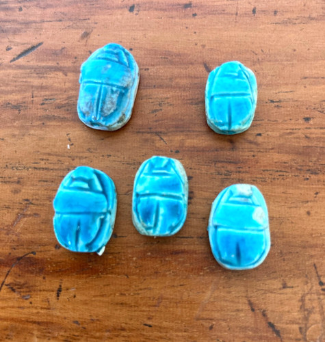 Egyptian scarab beetle - egyptian,