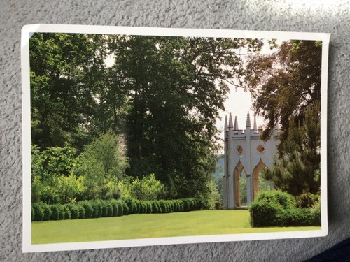 Postcard surrey painshill park - postcard,