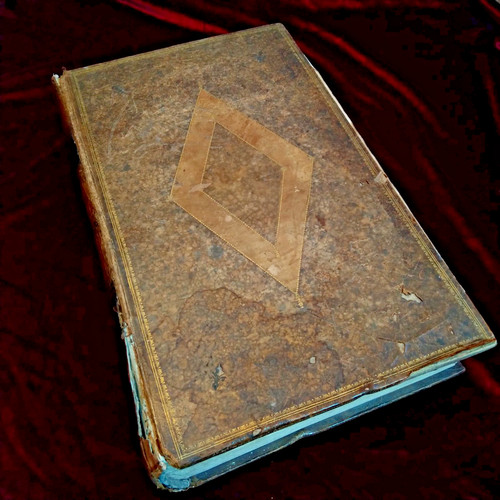 The evangelical family bible - evangelical,