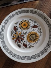Retro Vintage mid-century modern Ironstone Broadhurst Calypso tableware